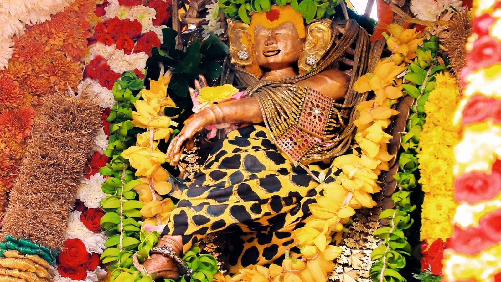 ஆருத்ரா தரிசனத்தில் நடராஜர் தீபாராதனை காட்சிகள்.. சங்கரநாராயணர் திருக்கோயிலில் திருவாதிரை திருவிழா கோலாகலம்..