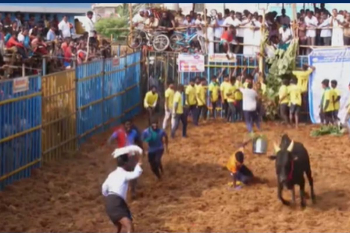 மணப்பாறை ஜல்லிக்கட்டுப் போட்டி: பரிசுகளை அள்ளி சென்ற வீரர்கள்