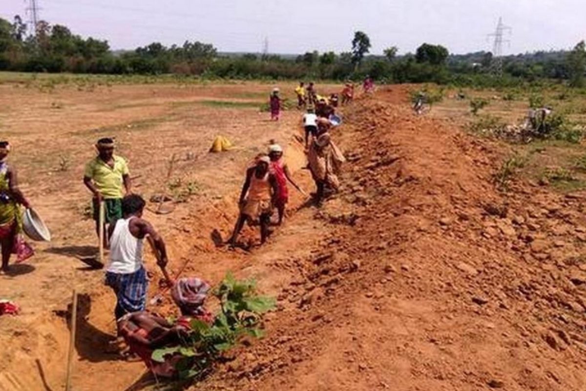 காட்சிப் படம்