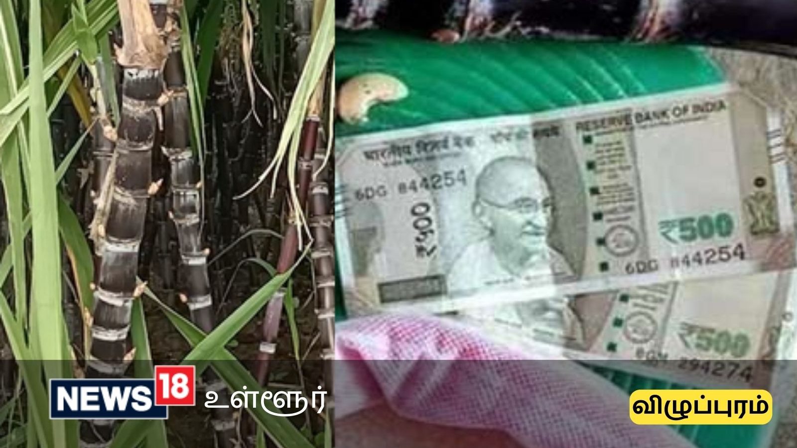 இடைத்தரகர்களை நம்ப வேண்டாம்... விழுப்புரம் கலெக்டர் முக்கிய அறிவுரை