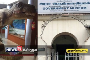 வியக்கவைக்கும் புதுக்கோட்டை அருங்காட்சியகம்... அரிய பொருட்கள்...