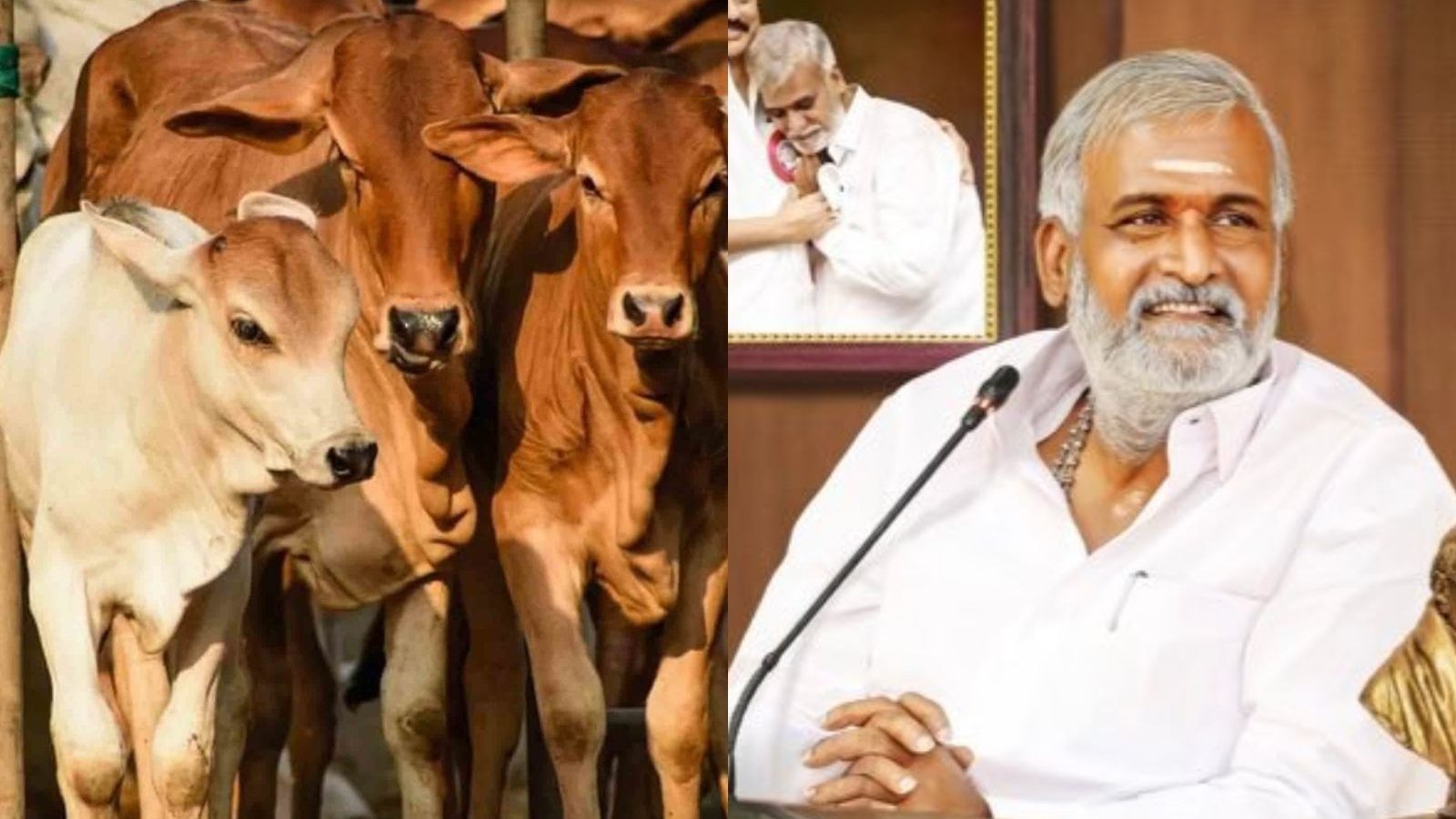 பசு கன்றுகளை பராமரிக்க ரூ.20 கோடி ஒதுக்கீடு - அமைச்சர் சேகர் பாபு