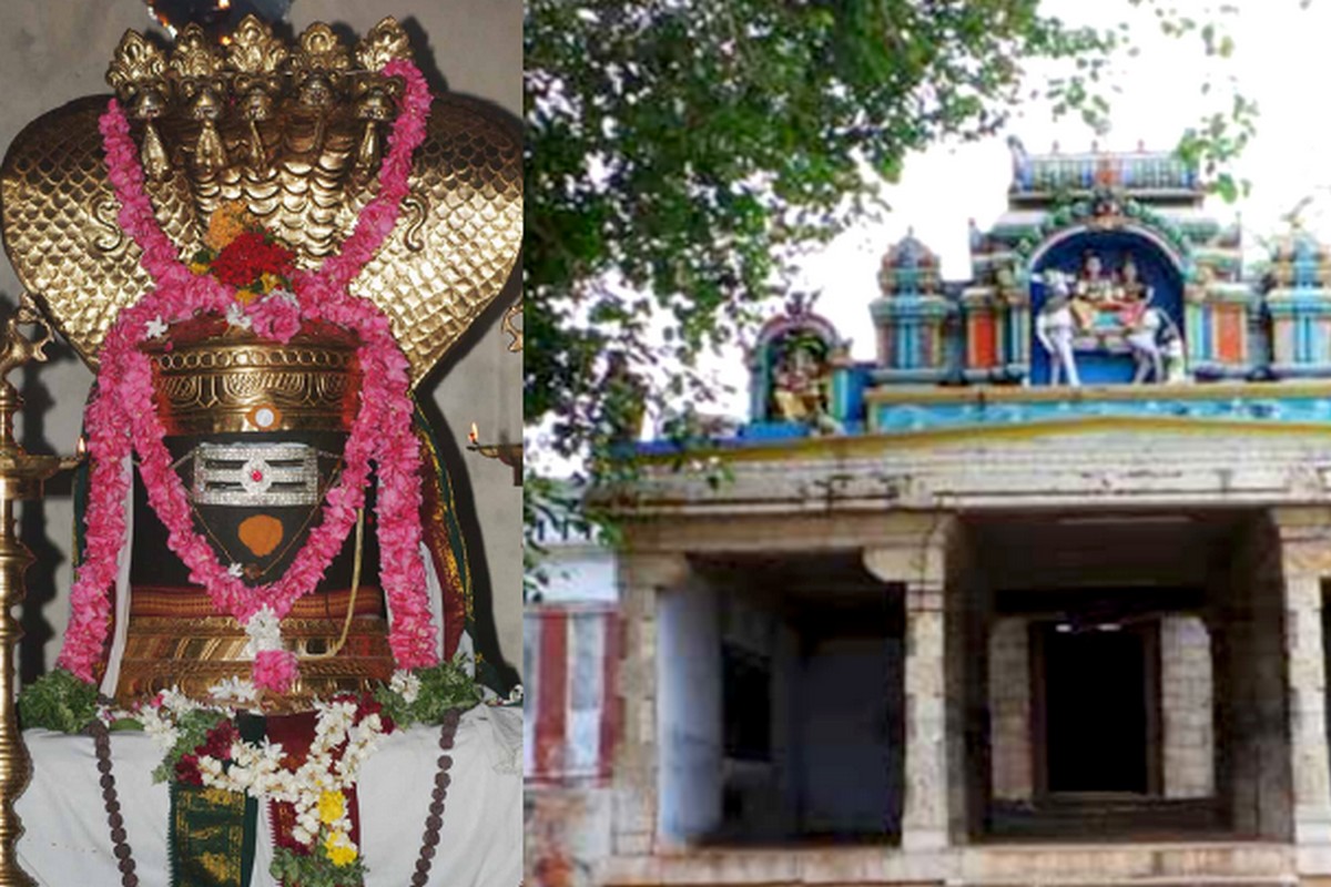  முறப்பநாடு: திருநெல்வேலி மாவட்டத்தில் இருந்து 17 கி.மீ. தொலைவிலும், தூத்துக்குடி மாவட்டத்தில் இருந்து 40 கி.மீ. தொலைவிலும் அமைந்துள்ளது முறப்பநாடு. தாமிரபரணி ஆற்றின் கரையில் அமைந்துள்ள இந்த கோவிலில் கைலாசநாதர் இறைவி சிவகாமி அம்மாள் அருள்புரகின்றனர். குருபகவானின் அருள் பெற வழிபட வேண்டிய திருத்தலமாக இது கருதப்படுகிறது.