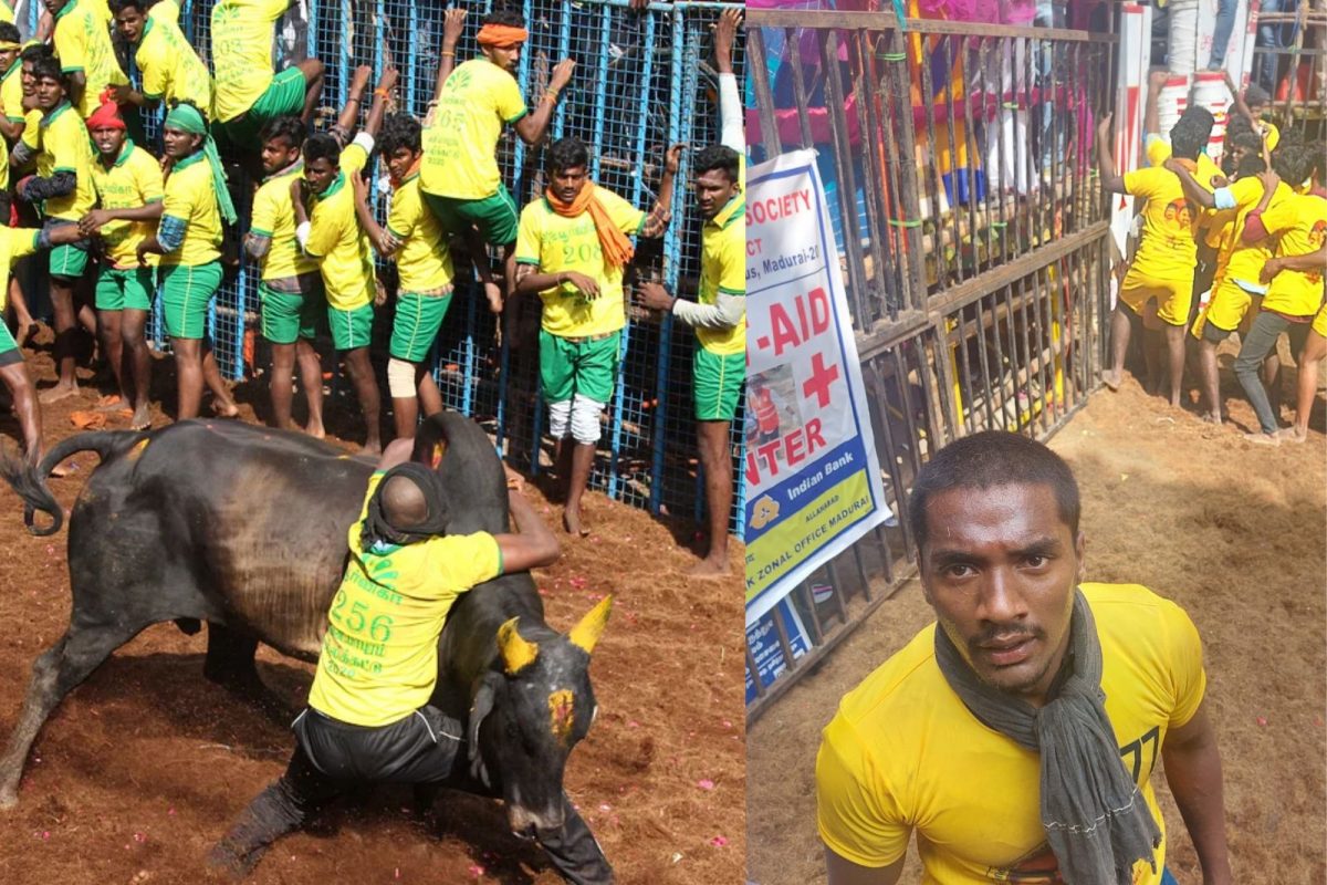 நிறைவடைந்தது அவனியாபுரம் ஜல்லிக்கட்டு.. வெற்றி வாகை சூடினார் விஜய்!
