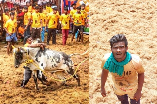 பாலமேடு ஜல்லிக்கட்டு, தமிழரசன்