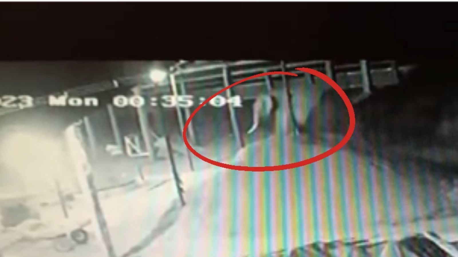 செங்கல் சூளைக்குள் நுழைந்து காட்டு யானைகள் அட்டகாசம்.. அச்சத்தில் கோவை மக்கள்!