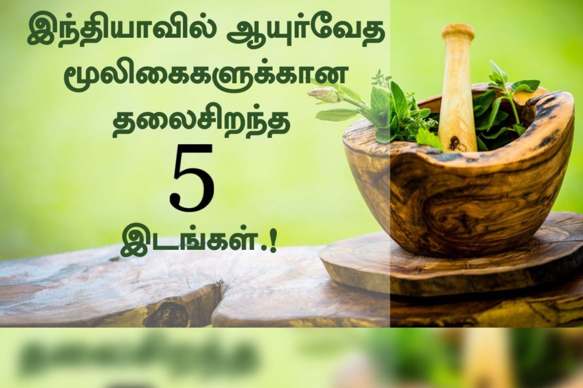 இந்தியாவில் ஆயுர்வேத மூலிகைகளுக்கான தலைசிறந்த 5 இடங்கள்.!