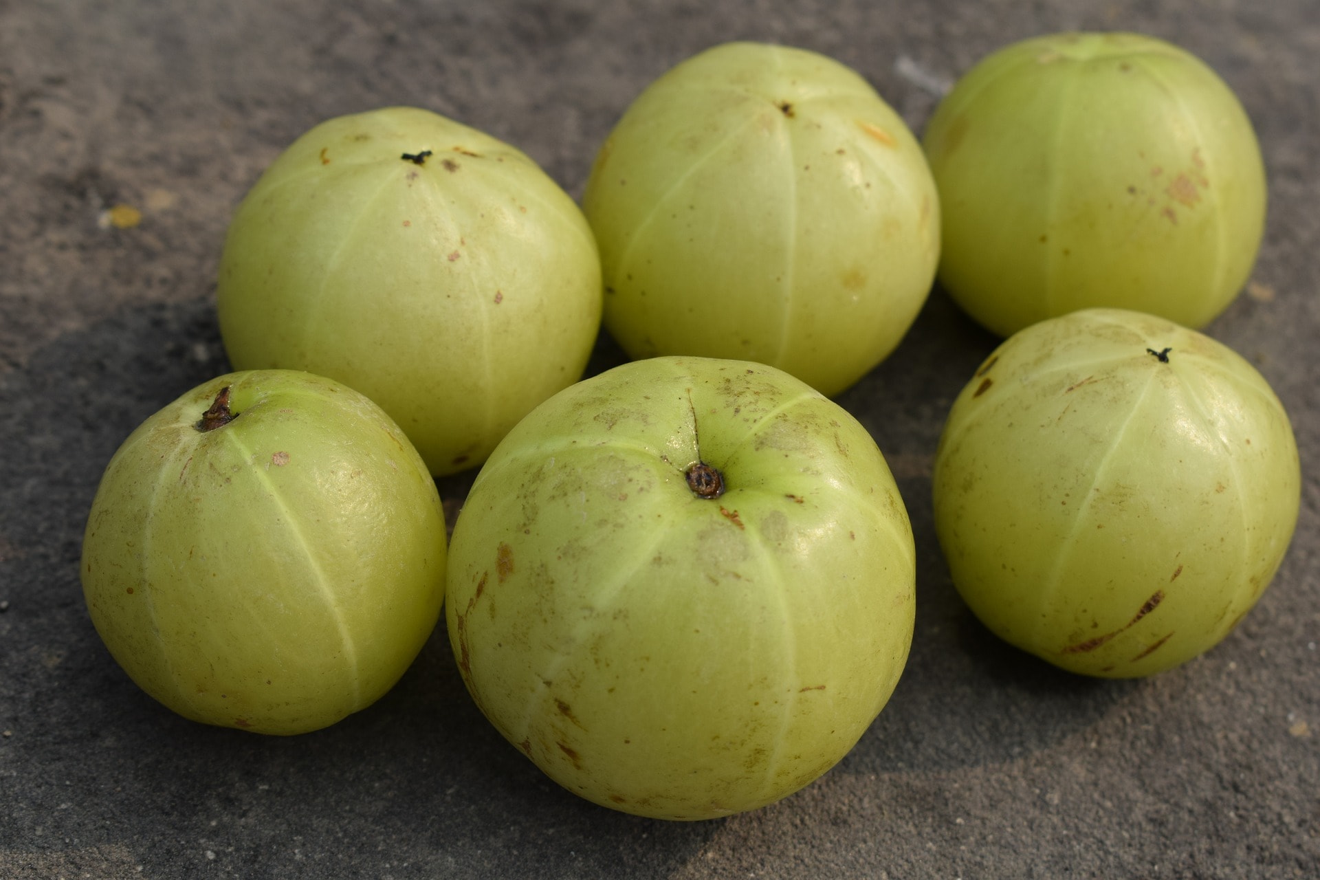 indian gooseberry 6229061 1920