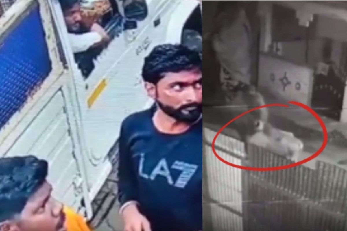 ஜல்லிக்கட்டு காளைகள் திருட்டு.. சிக்கிய வடமாநில கும்பல்!