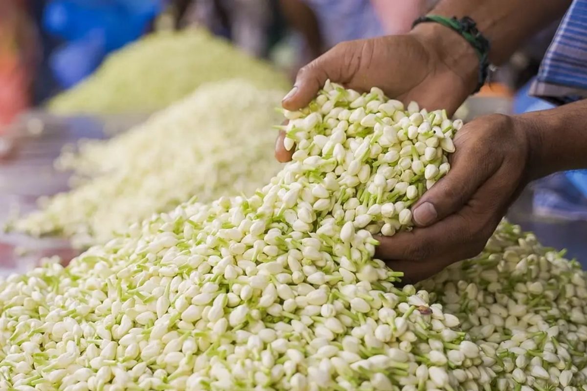மாதிரி படம்
