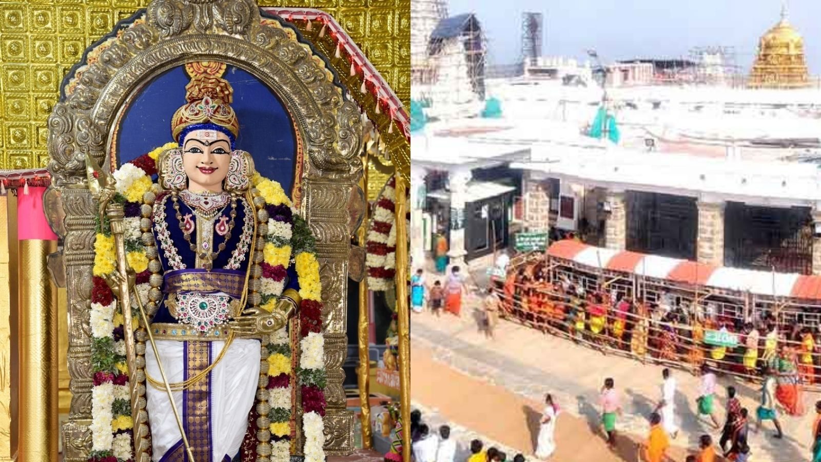 அழகென்ற சொல்லுக்கு முருகா.. பழநி முருகன் கோயில் கும்பாபிஷேகம்.. லேட்டஸ்ட் க்ளிக்ஸ்!