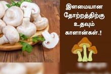 இளமையான தோற்றத்திற்கு உதவும் காளான்கள்.! முழு விவரம் இதோ..