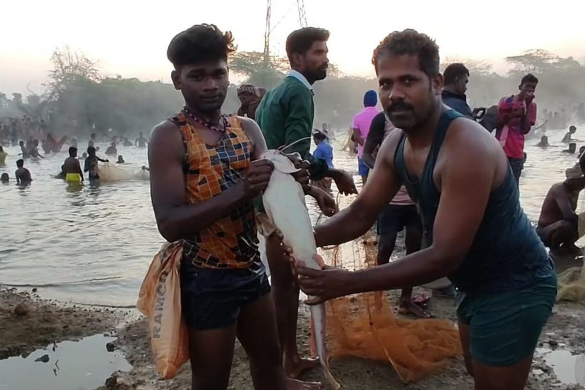 மீன்பிடித்
