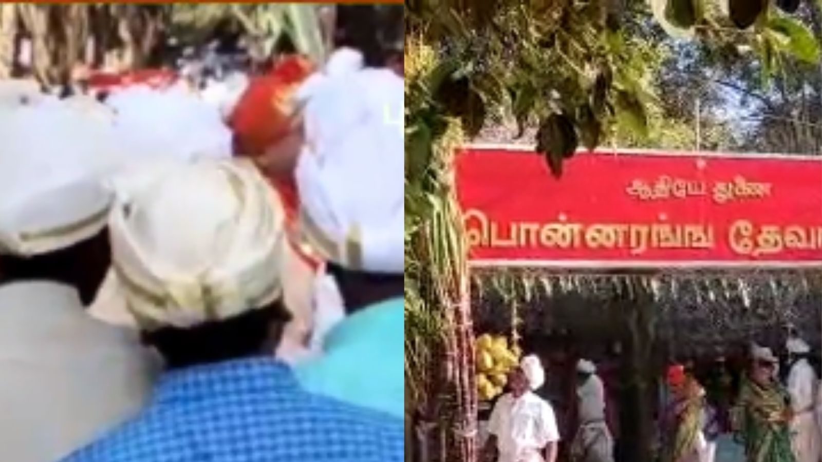 வெள்ளை தலைப்பாகை மக்கள் கொண்டாடிய  செல்வ பொங்கல்..  மெய்வழிச்சாலையில் வித்தியாசமான விழா பாருங்க.!