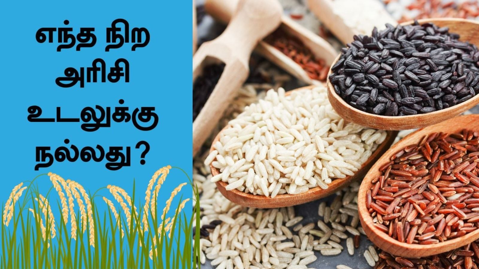 எந்த அரிசி சாப்பிடுவது ஆரோக்கியத்திற்கு நல்லது..? தெரிந்துகொள்ளுங்கள்..!