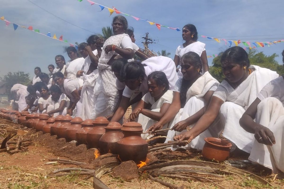 வெள்ளை புடவையில் பொங்கல் வைத்து வினோத வழிபாடு!