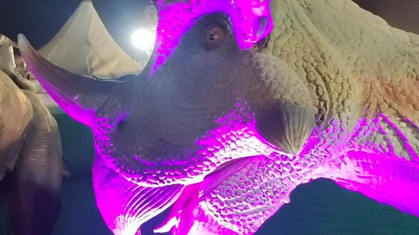 குழந்தைகளை ஆச்சரியப்படுத்தும் டைனோசர் உலகம்..! சங்கரன்கோவிலில் ஏராளமானோர் கண்டுகளிப்பு..