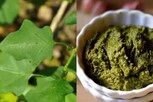 சளியை விரட்டும் தூதுவளை துவையல் ரெசிபி!