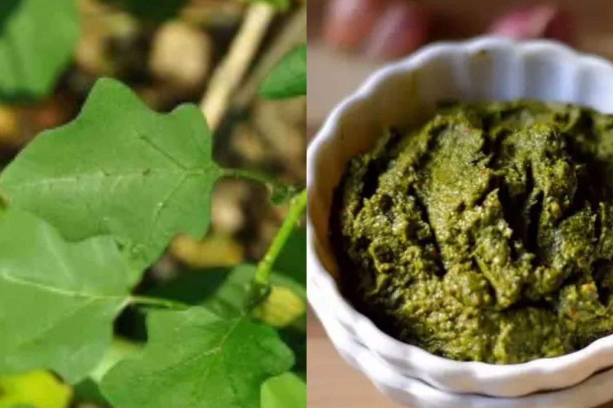 சளியை விரட்டும் தூதுவளை துவையல் ரெசிபி!