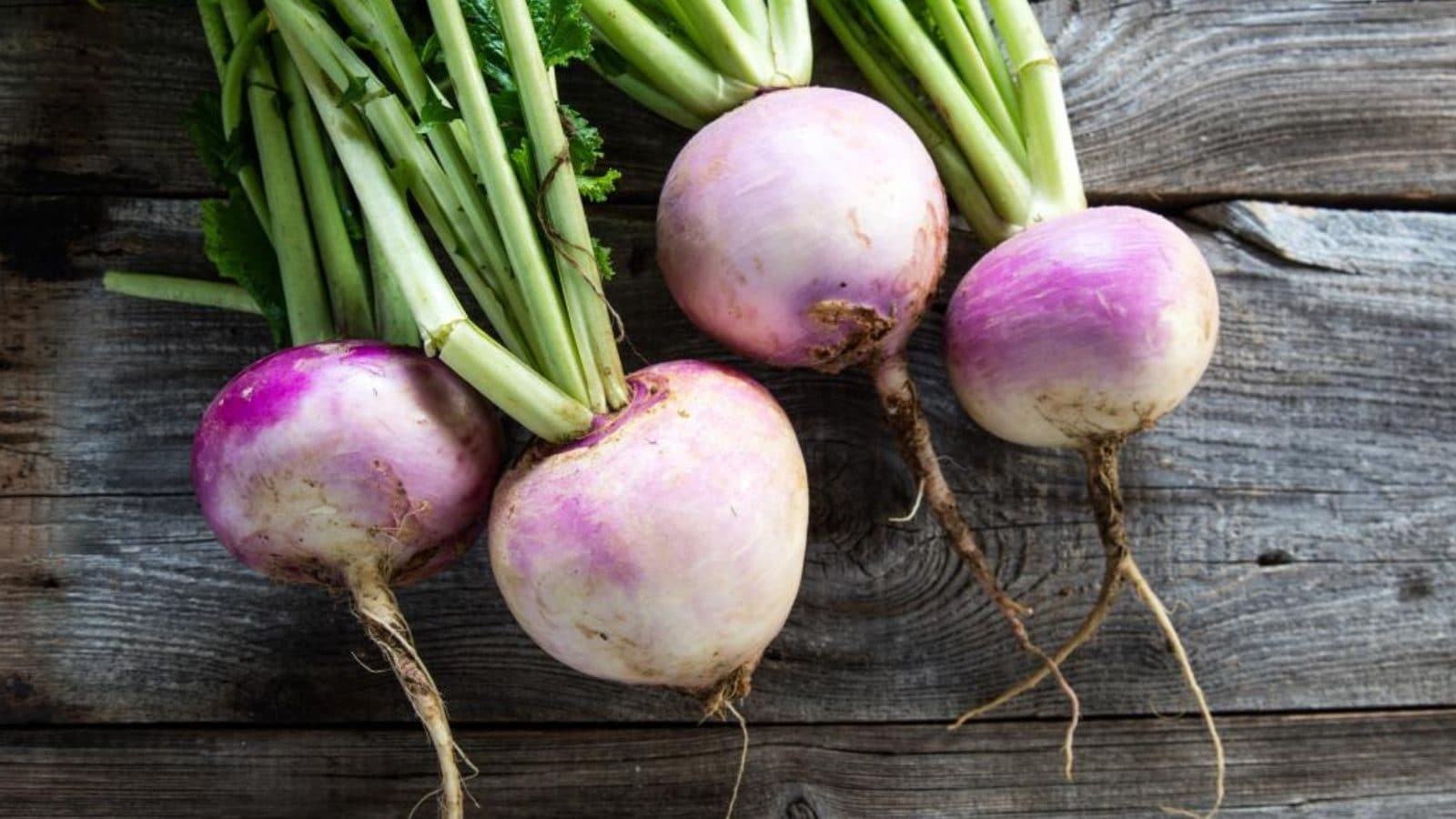 குளிர்காலத்தில் ஏன் நூல்கோலை அதிகம் சாப்பிட வேண்டும்.? நன்மைகளை தெரிஞ்சுக்கோங்க..!