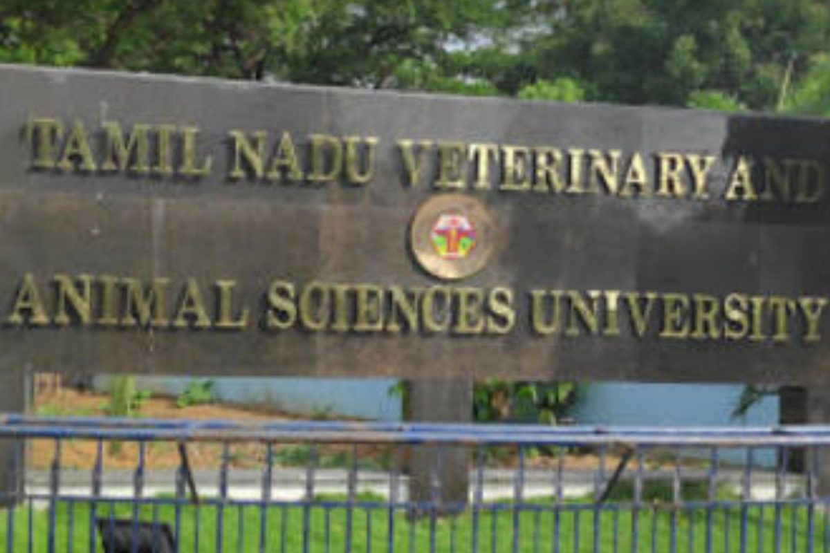 தமிழ்நாடு கால்நடை மருத்துவ அறிவியல் பல்கலைக்கழகத்தில் வேலை