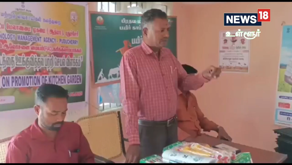 காய்கறி