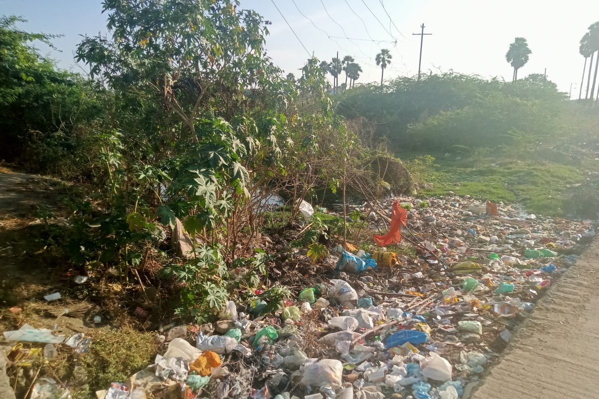 கவுசிகா