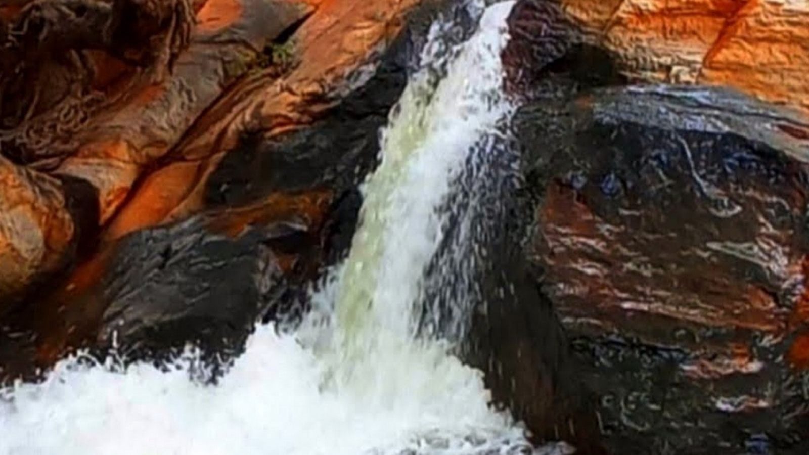 கோடையில் ஜில்லென்று குளித்து மகிழ நெல்லை மாவட்டத்தில் உள்ள தேங்காய் உருளி அருவிக்கு ஒரு ட்ரிப் போகலாம்!