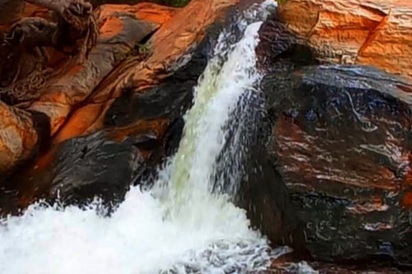 கோடையில் குளித்து மகிழ தேங்காய் உருளி அருவிக்கு ஒரு ட்ரிப் போகலாம்! 
