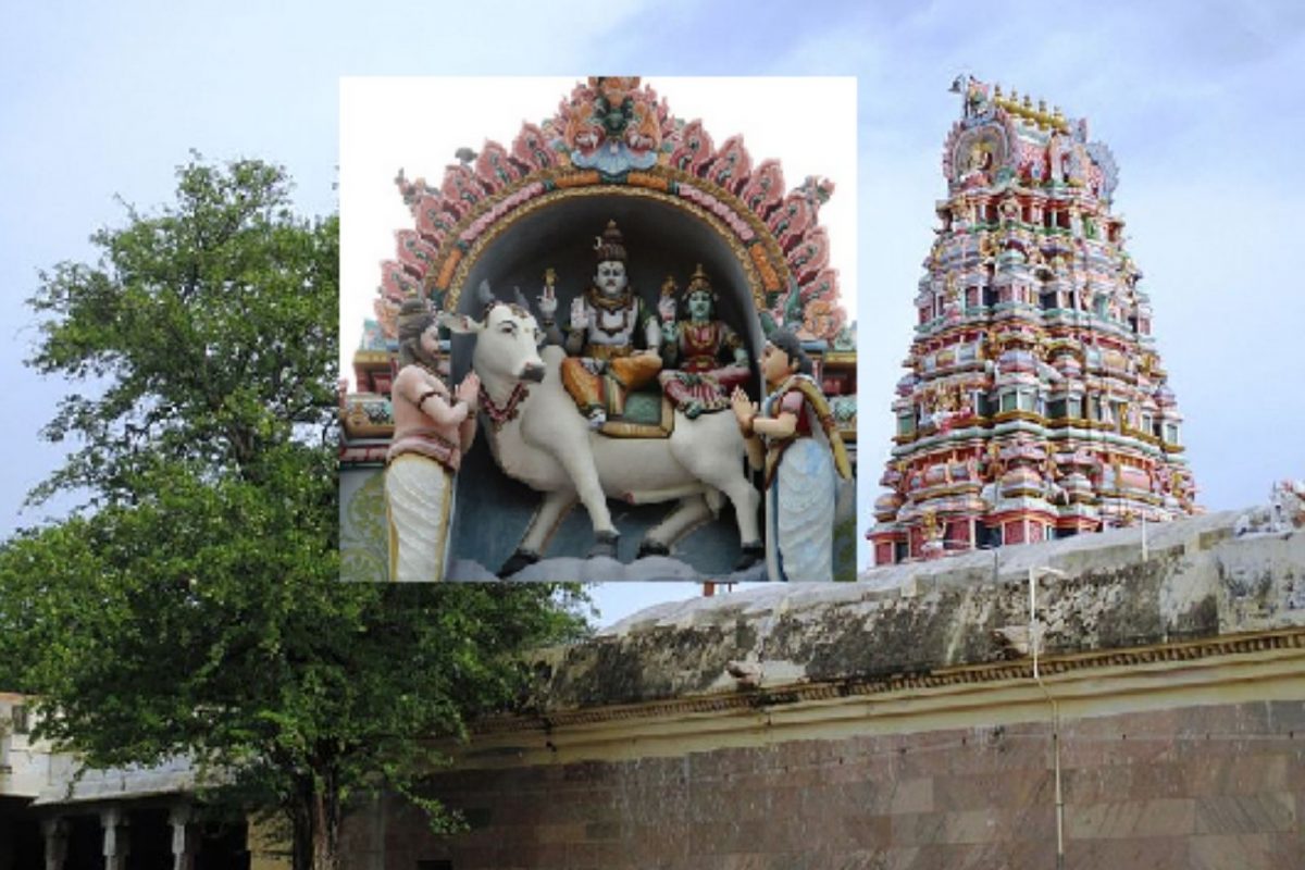 திருச்சுழி திருமேனிநாதர் திருக்கோவிலுக்கு இப்படி ஒரு சிறப்பா..!