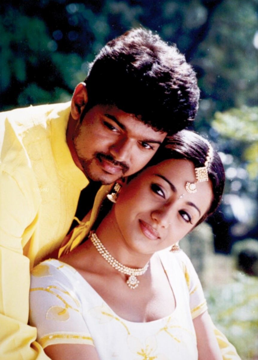  சரத்குமாரின் ஐயா, தனுஷின் தேவதையைக் கண்டேன் ஆகியப் படங்களுடன் வெளியான திருப்பாச்சி, 112 திரையரங்குகளில் 100 நாட்களையும், தமிழ்நாட்டில் மொத்தமாக 200 நாட்களையும் நிறைவு செய்தது.