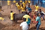 கீரனூர் அருகே ஜல்லிக்கட்டு.. 13 வயது சிறுவன் உள்ளிட்ட 32 பேர் காயம்!