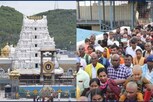 திருப்பதியில் இலவச தரிசனத்திற்கு 24 மணி நேரம் காத்திருக்கும் பக்தர்கள்