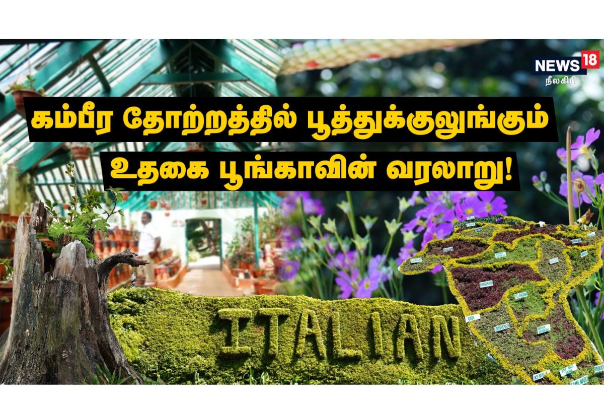 ஊட்டி