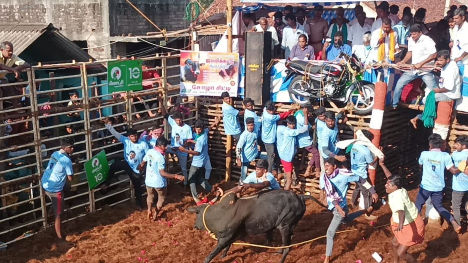 தஞ்சாவூர் திருமலை சமுத்திரம் ஜல்லிக்கட்டு.. அடம் பிடித்த காளைகளை அடக்கி ஆண்ட விரர்கள்..!