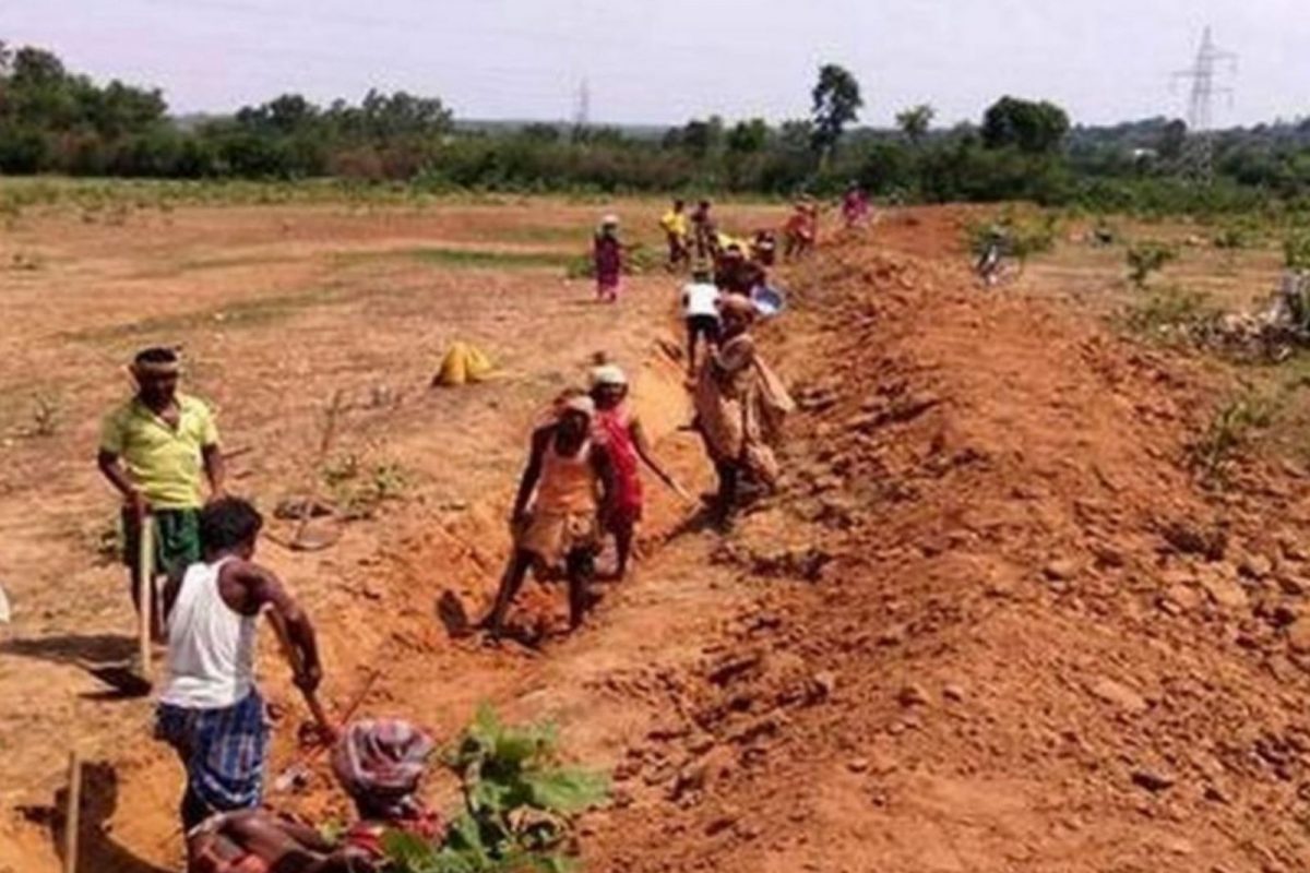 காட்சிப் படம் 