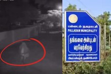 பல்லடத்தில் இரவில் உலாவும் கம்பளி திருடன்..