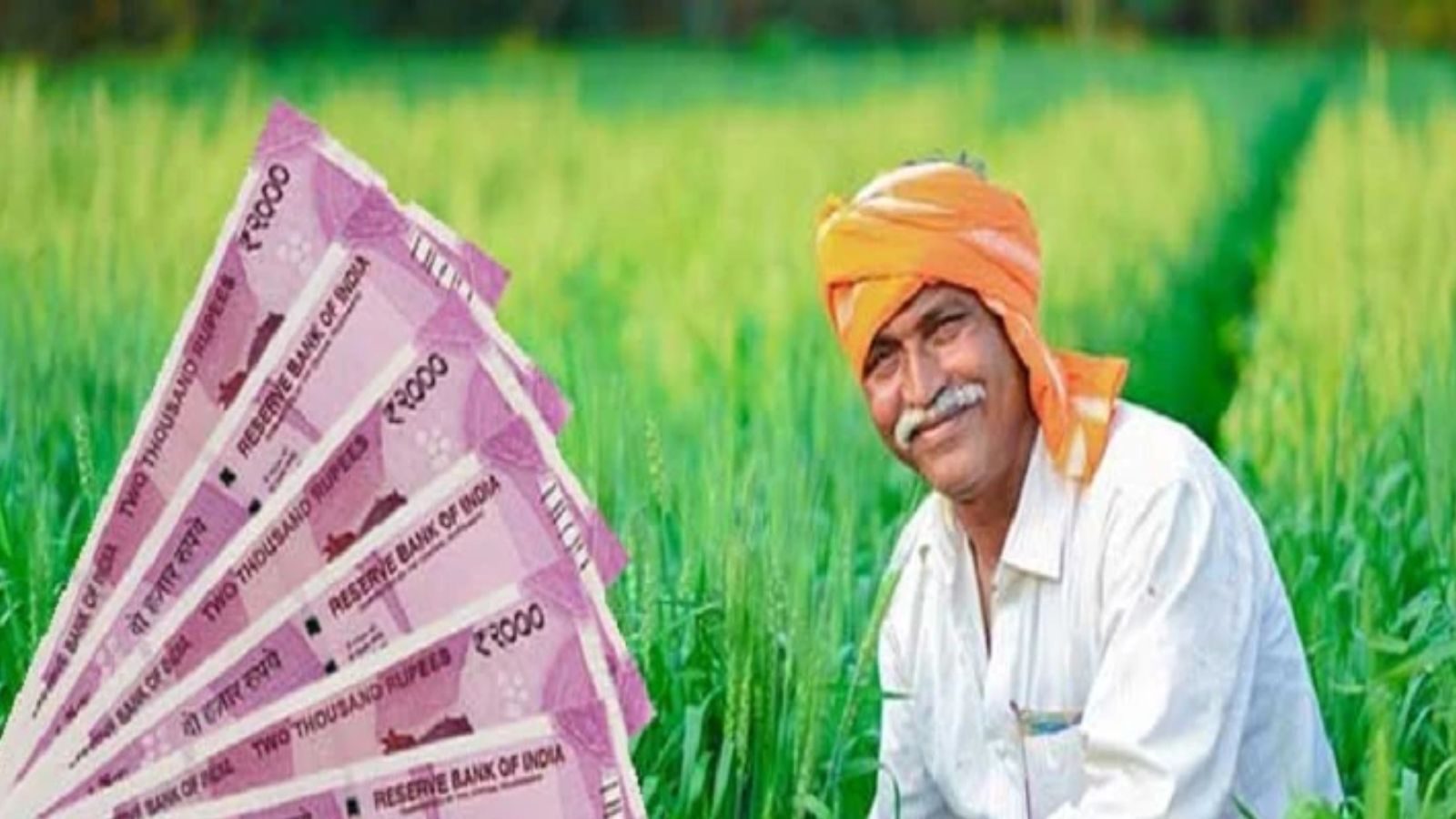 விவசாயிகளுக்கு வங்கிக் கணக்கில் ரூ.2,000 கிசான் நிதி.. தெரிந்துகொள்ளுவது எப்படி? 