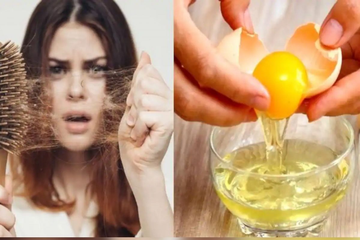 அடர்த்தியான கூந்தலை பெற முட்டை