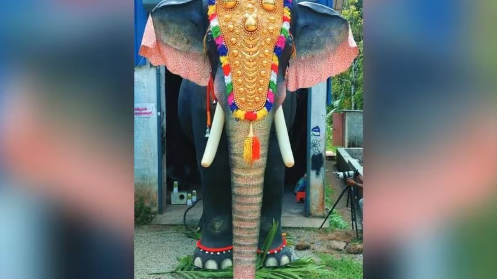 முதல்முறை!.. கேரளா கோயிலில் சேவை செய்யப்போகும் ரோபோ யானை!