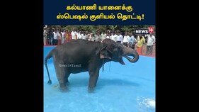 கல்யாணி யானைக்கு ஸ்பெஷல் குளியல் தொட்டி.. ஆனந்த குளியலிட்ட யானை!