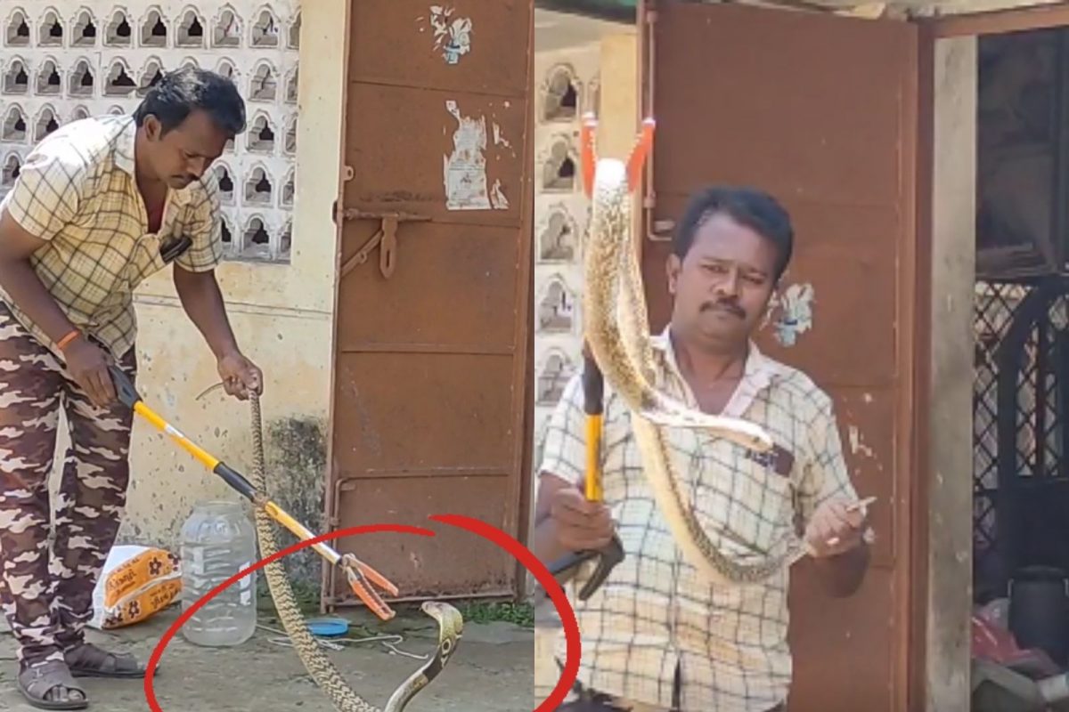 ‘ரஜினி வா டா..!’ கருநாகத்தை  சிகிச்சைக்கு எடுத்த வந்த வாலிபர்