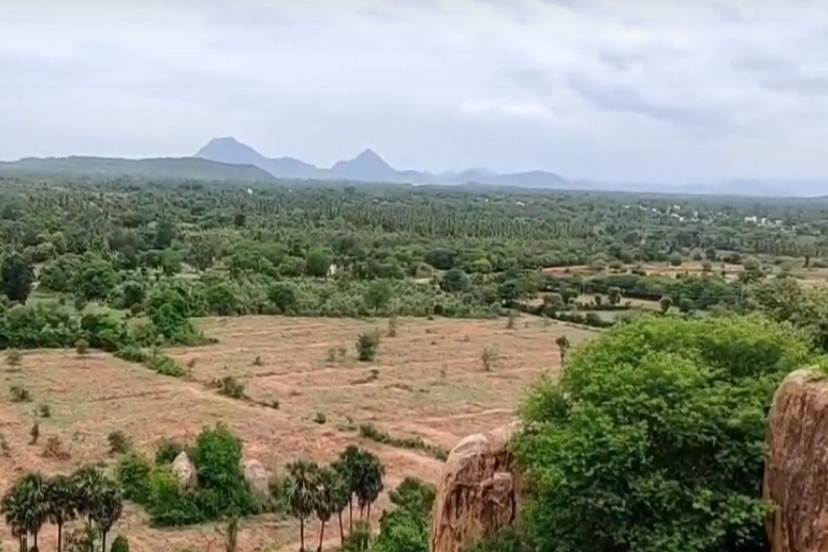  இந்த தேன் மலையின் உச்சியில் இருந்து கீழே பார்ப்பது அழகாக வியூவைக் கொடுக்கிறது. சில்லென்று வீசும் காற்றும், சுனைகளும், கண்களுக்கு விருந்து படைக்கும் பசுமையும் என பக்தி மட்டும் அல்லாமல் சிறந்த சுற்றுலாவாகவும் இந்த தேனிமலை பயணம் அமையும். இந்த இடம் புதுக்கோட்டை மாவட்டத்தில் கட்டாயம் பார்க்க வேண்டிய இடங்களில் ஒன்று.