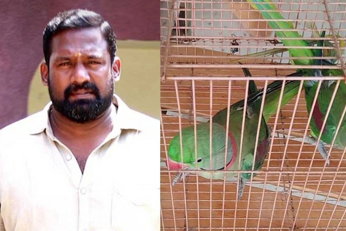 அனுமதியின்றி கிளி வளர்த்த ரோபோ சங்கருக்கு ரூ.2.5 லட்சம் அபராதம்!