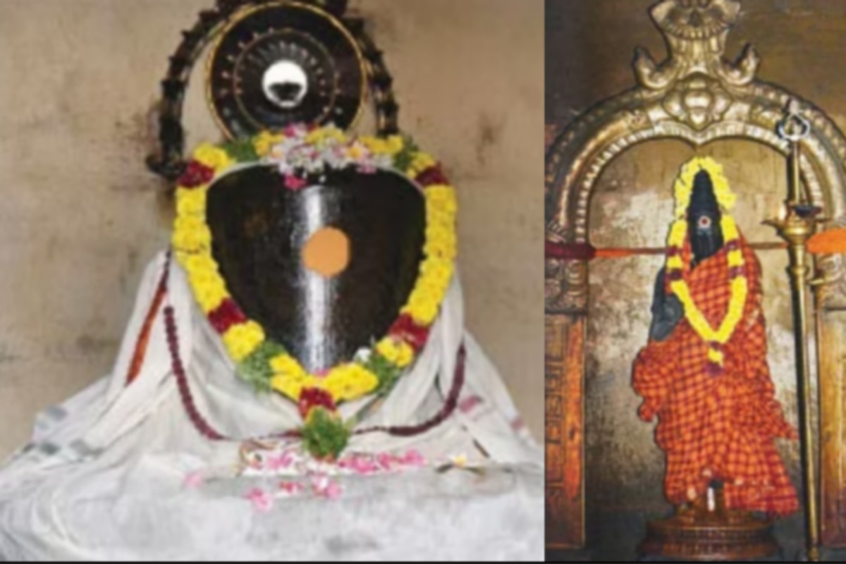  இந்த கோவிலின் மூலவர் திருமேனிநாதர். இவர் சுழிகேசர், பிரளயவிடங்கர், தனுநாதர், மணக்கோல நாதர், கல்யாணசுந்தரர், புவனேஸ்வரர் மற்றும் பூமீஸ்வரர் என்று பல பெயர்களில் அழைக்கப்படுகிறார். அம்பாள் துணைமாலையம்மை சகாயவல்லி, சொர்ணமாலை, முத்துமாலையுமையாள் மற்றும் மாணிக்கமாலை என்ற பெயர்களிலும் அழைக்கப்படுகிறார்.