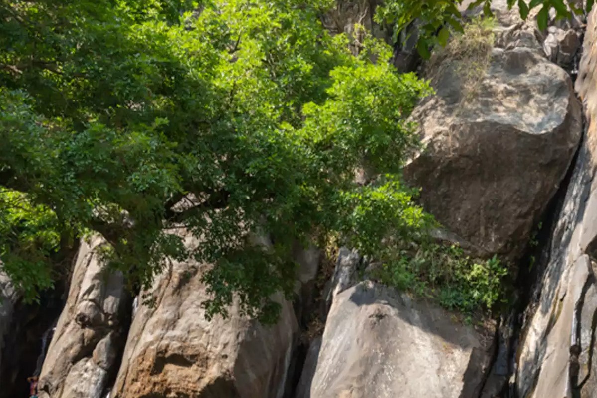  ஐந்தருவி : சீசன் காலங்களிலும், மழை நேரங்களிலும் ஆர்ப்பரித்து கொட்டும் இந்த ஐந்தருவி தற்போது தண்ணீர் இன்றி காட்சியளிக்கிறது. இங்கே இங்கே “வெறும் பாறை மட்டும்தான் பாட்டு”படிக்கின்றன. எனவே, இங்கே செல்வதை சுற்றுலா பயணிகள் தவிரிப்பது நல்லது.