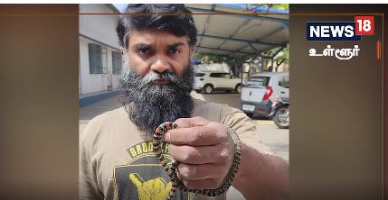  இதுகுறித்து பாம்புகள் பாதுகாப்பு அமைப்பைச் சேர்ந்த ரத்தீஸ் என்பவருக்கு தகவல் அளித்துள்ளார். அங்கு சென்ற ரத்தீஸ் பாம்பு எவ்வகையைச் சேர்ந்தது என்பதை அறிந்து கொண்டு அதனை லாவகமாக பிடித்தார். தொடர்ந்து அந்த பறக்கும் பாம்பு கோவை மாவட்ட வனத்துறையிடம் பத்திரமாக ஒப்படைக்கப்பட்டது.