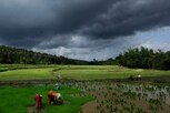 நிலக்கரி சுரங்க ஏலப் பட்டியல்.. டெல்டா பகுதிகள் நீக்கம்