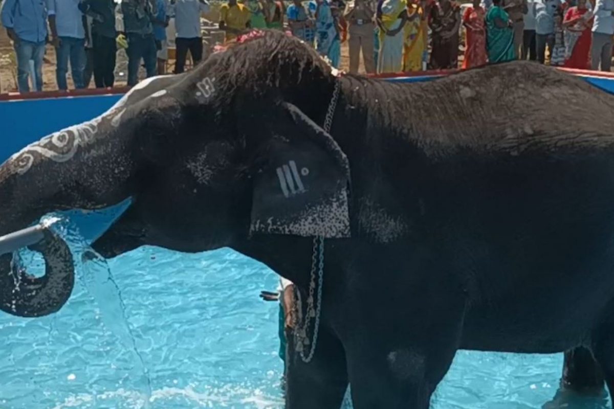 கல்யாணி