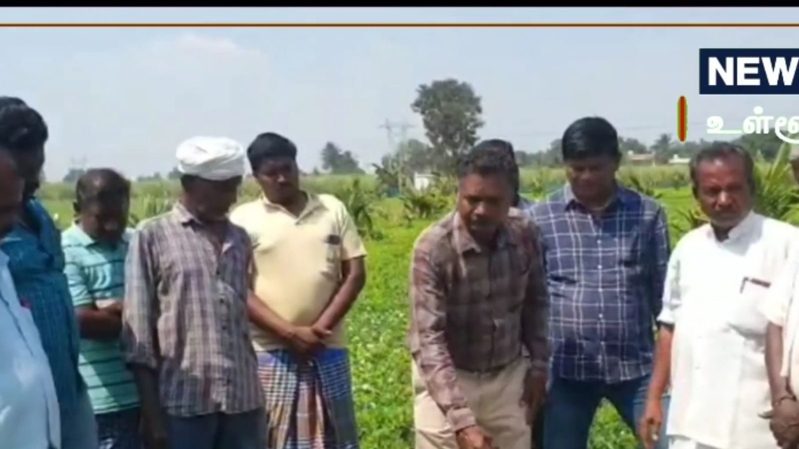 மணிலா விவசாயிகளுக்கு இலவசமாக நுண்ணூட்டச் சத்து கலவை!